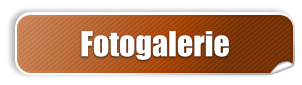 Fotogalerie